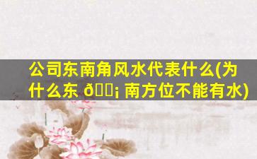 公司东南角风水代表什么(为什么东 🐡 南方位不能有水)